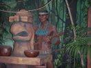 Les Mayas ont découvert la graine de cacao